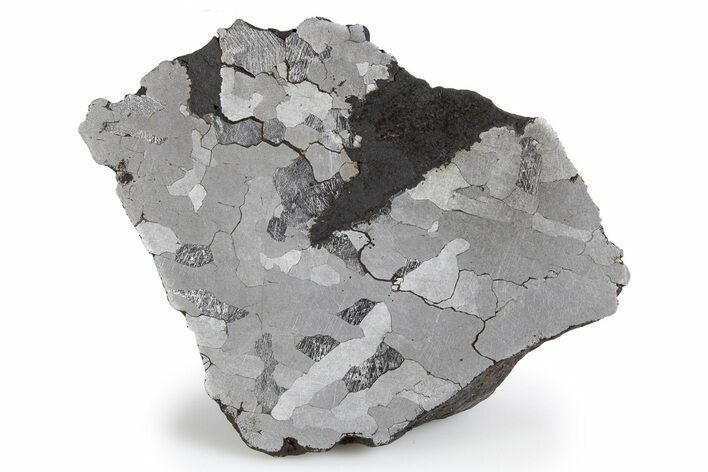 Etched Campo del Cielo Iron Meteorite ( g) Section #300778